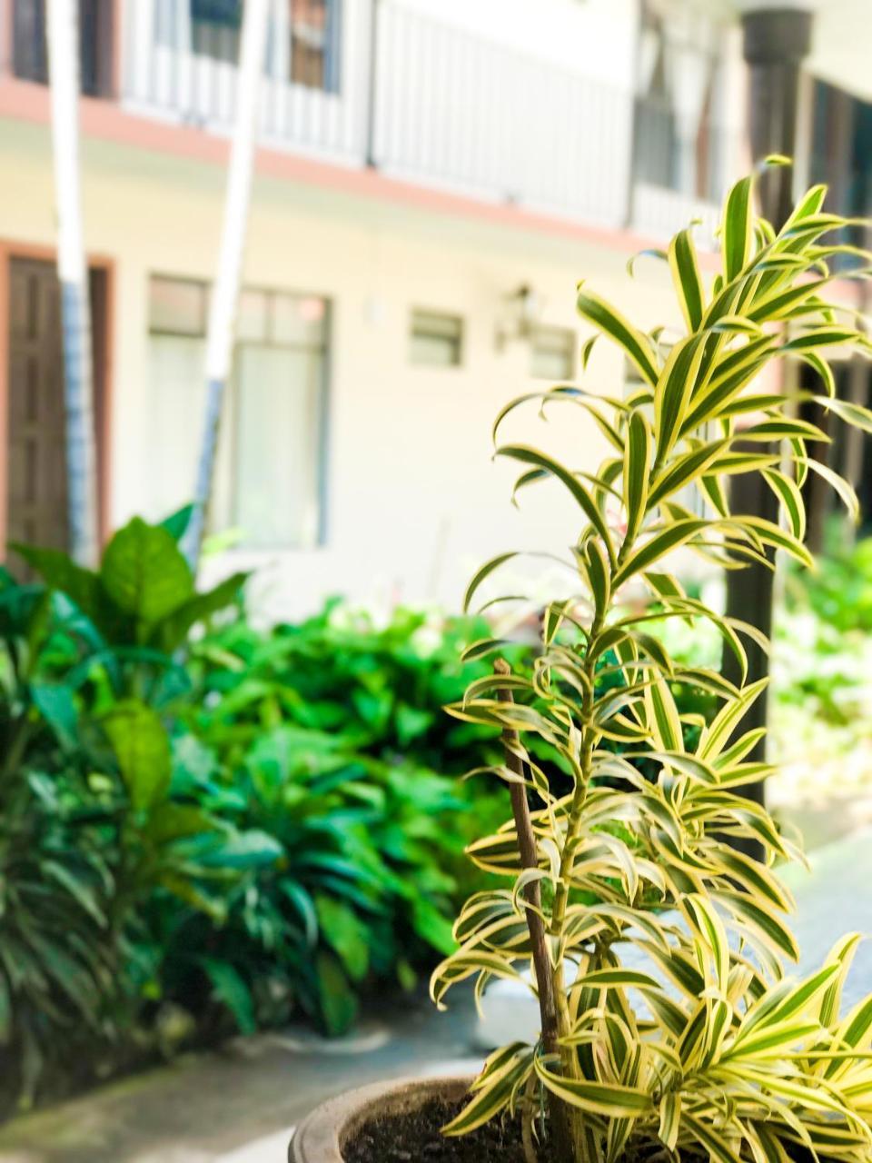 Hotel Villa De Flores Uruapan  Eksteriør bilde